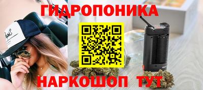 бутират Кингисепп